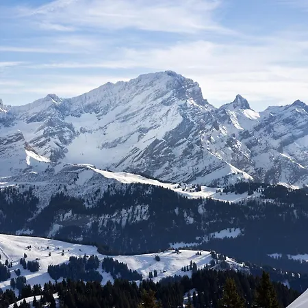 Sapin Bleu 5 By Interhome