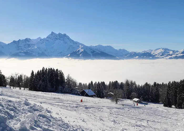 Sapin Bleu 5 By Interhome Appartamento *