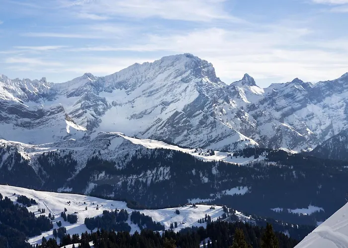 Sapin Bleu 5 By Interhome