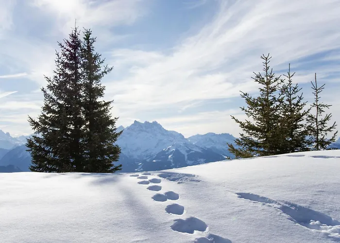 Sapin Bleu 5 By Interhome * וילארס-סור-אולון